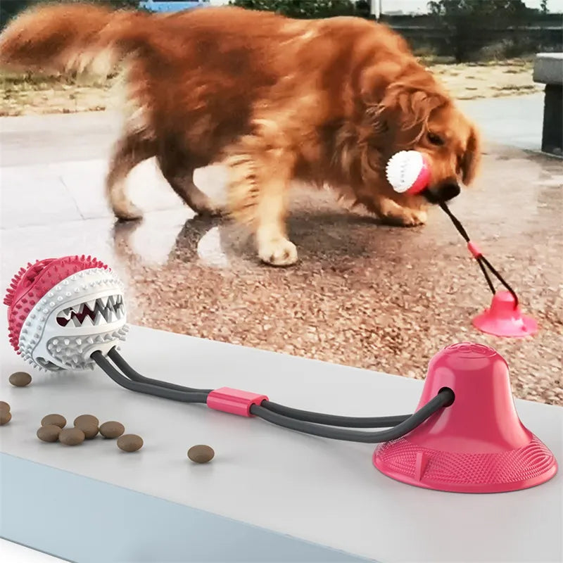 Juguete interactivo para perros con ventosa