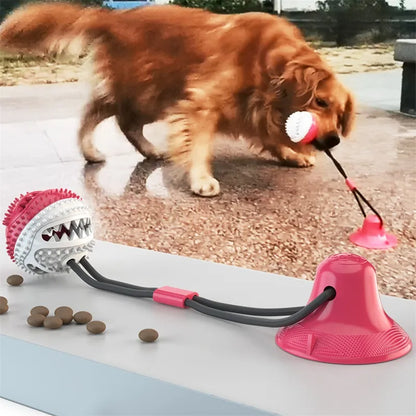 Juguete interactivo para perros con ventosa